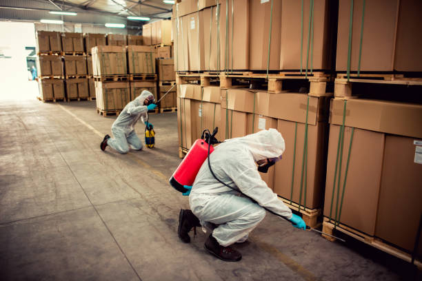 Best Pest Removal Services  in Nanawale Estates, HI