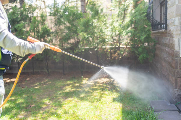 Pest Prevention Services in Nanawale Estates, HI