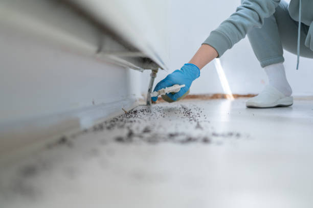 Best Best Pest Control Companies  in Nanawale Estates, HI